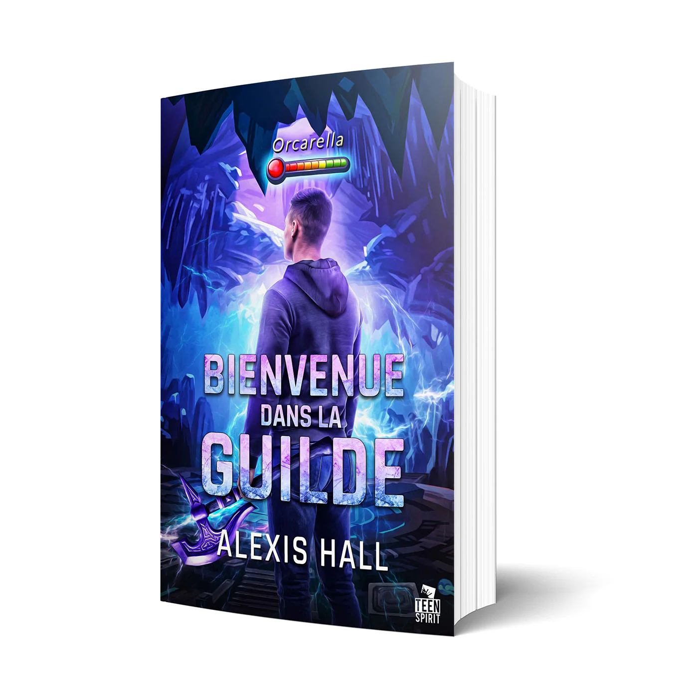Bienvenue dans la guilde