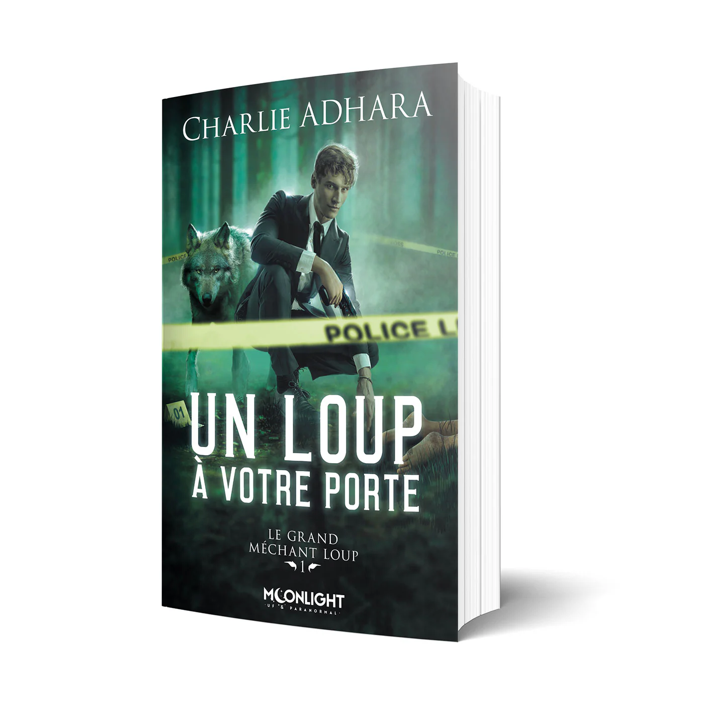 Un loup Ă votre porte