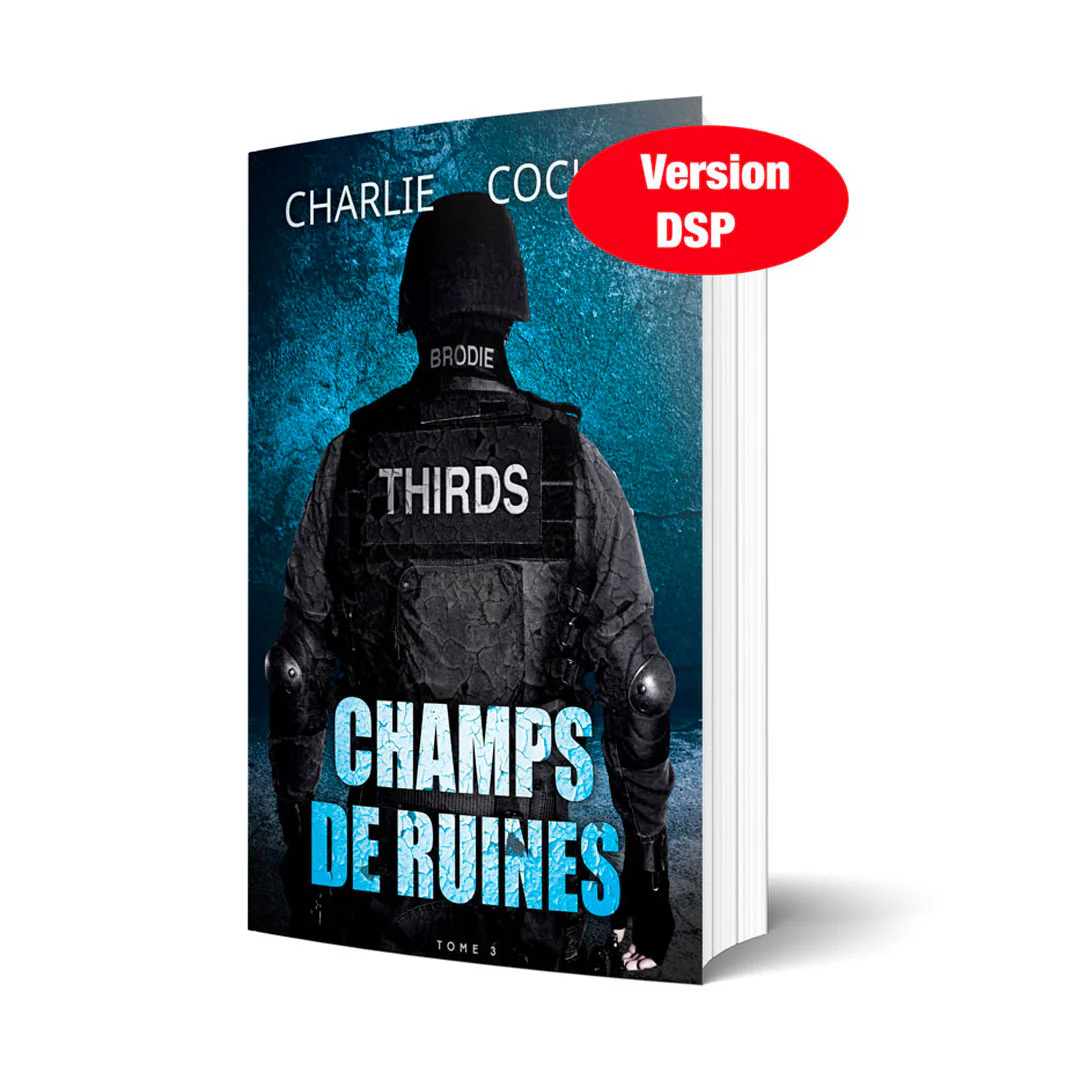 Champs de ruines