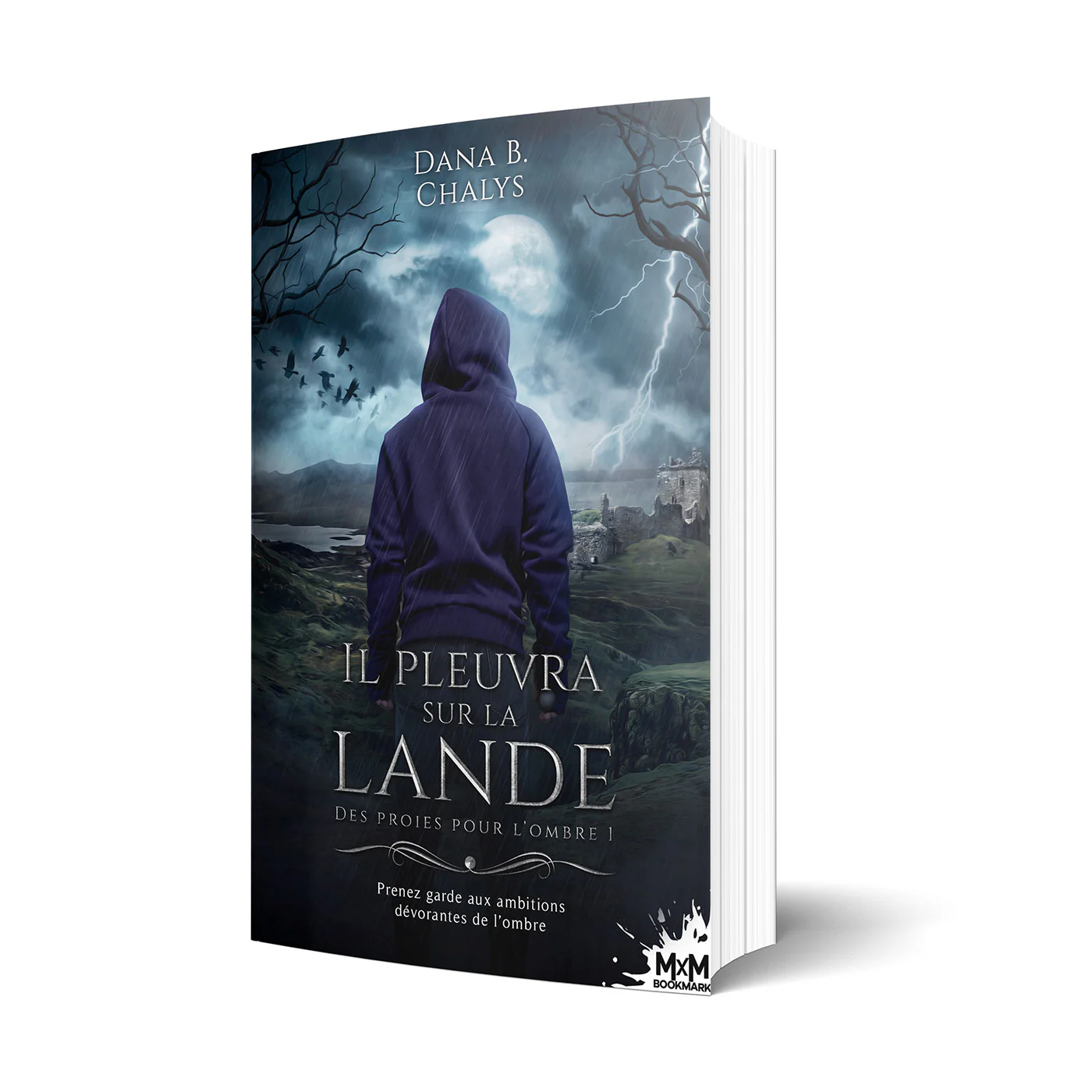 Il pleuvra sur la lande