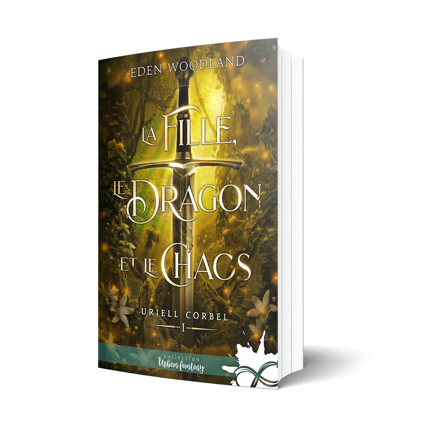 La fille, le dragon et le chaos