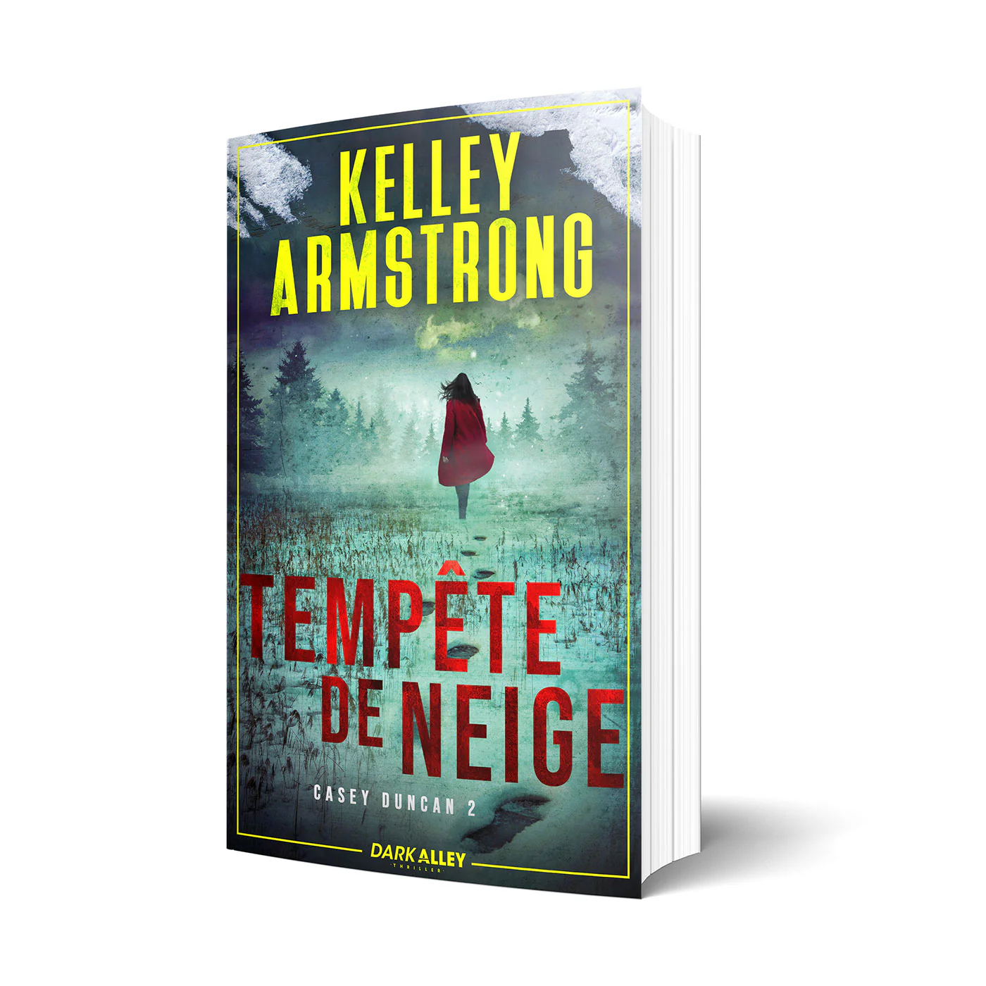 TempĂŞte de neige