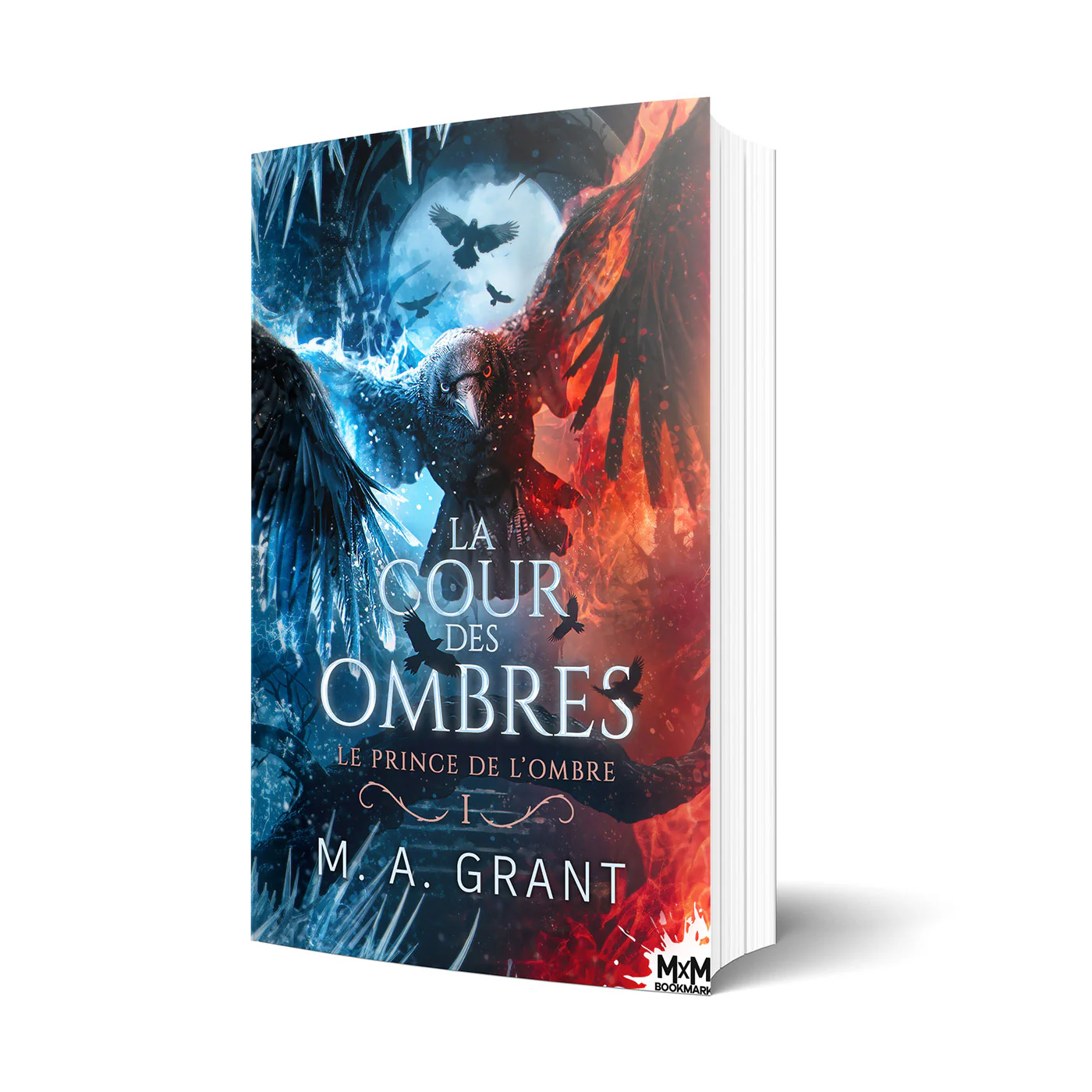 Le prince de l'Air et des Ombres