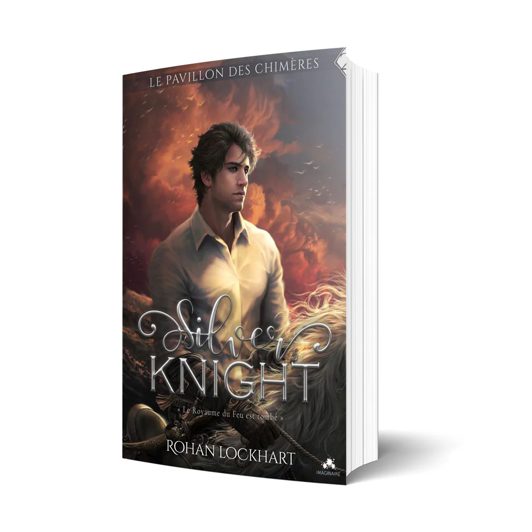 Silver Knight - Image 2