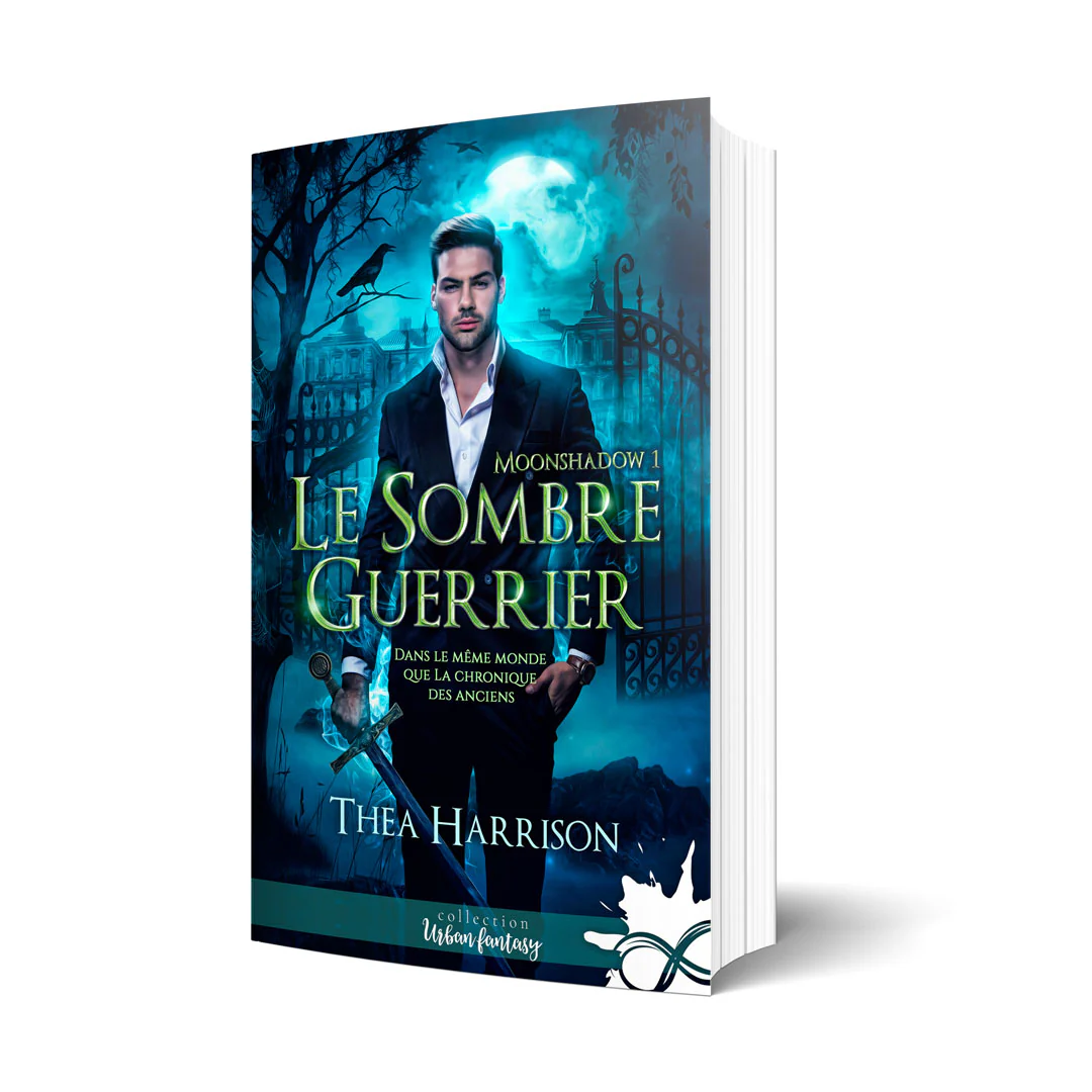 Le sombre guerrier