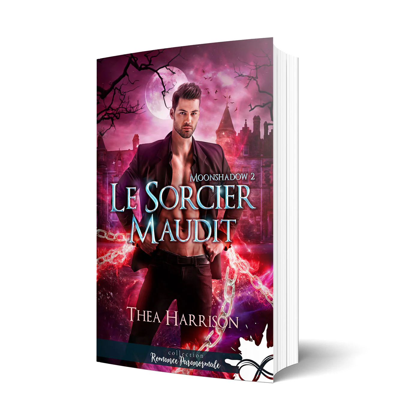 Le sorcier maudit